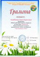 Дипломы 2024