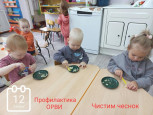 1 мл. группа