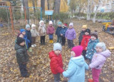 осень 2 мл. гр. 