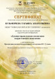 Реализация инициатив, связанных с эффективностью  работы  ДОУ