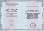Создание условий в образовательной организации.