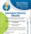 Профессионально - общественная активность.