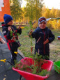 Дары осени