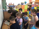 Родительская минутка