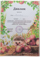 Наши достижения и награды