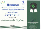 Достижения обучающихся