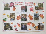 Газета "Осенние деревья нашего города"