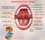 Правила выполнения артикуляционной гимнастики для шипящих звуков