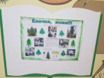 Выпуск газеты "Ёлочка - живи!", в рамках одноименного проекта 