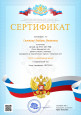 Сертификат участника вебинара