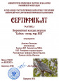 Всероссийский  конкурс рисунков
