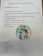 Юный помощник инспектора движения (ЮПИД)