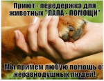 Лапа помощи