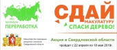 Сохраним  дерево