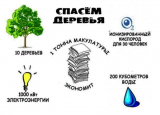 Сохраним  дерево