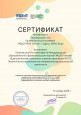 Самообразование и профессиональное развитие (участие в вебинарах, семинарах, конференциях и др.)