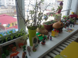 Огород на подоконнике