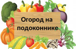 "Огород на окне"