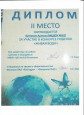 Диплом 2 место