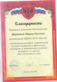 Наличие отмеченных профессиональных достижений 