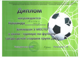 Победители/ призеры 