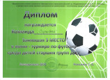 Победители/ призеры 