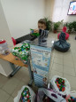 Добрые ладошки