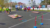 Зарница