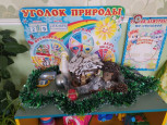 Новый год !