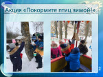  Акция " Покормите птиц"