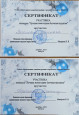Победители городского конкурса "Лучшая новогодняя игрушка"