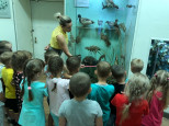 Экскурсия в городской музей
