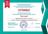 Итоги участия в акции "Свет в окне"