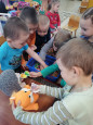 В детском саду отметили Всемирный день животных