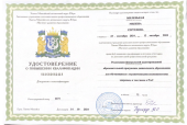 Профессиональные достижения 