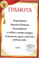  Профессиональные награды