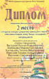  Профессиональные награды