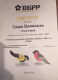 Результаты участия обучающихся в заочных (дистанционных) мероприятиях