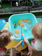 Всемирный день водных животных
