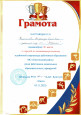 Районный уровень 