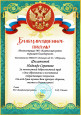 Районный уровень 