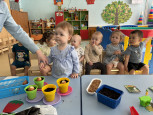 Наш маленький огород 