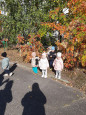 Осенние прогулки 