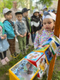 Все о птицах