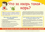 памятка по кори
