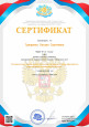 Участие в семинарах, вебинарах, конференциях и т.д.