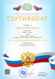 Участие в семинарах, вебинарах, конференциях и т.д.