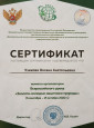 Сертификат (2022г)