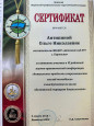 Награды за успехи в профессиональной деятельности