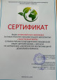 Районное методическое объединение 